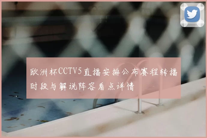 欧洲杯CCTV5直播安排公布赛程转播时段与解说阵容看点详情
