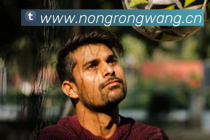 凯时尊龙人生就是博·Z6(中国)首页官网发展历程